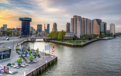 Innovation in the harbour of Rotterdam… a cargo’s dream!